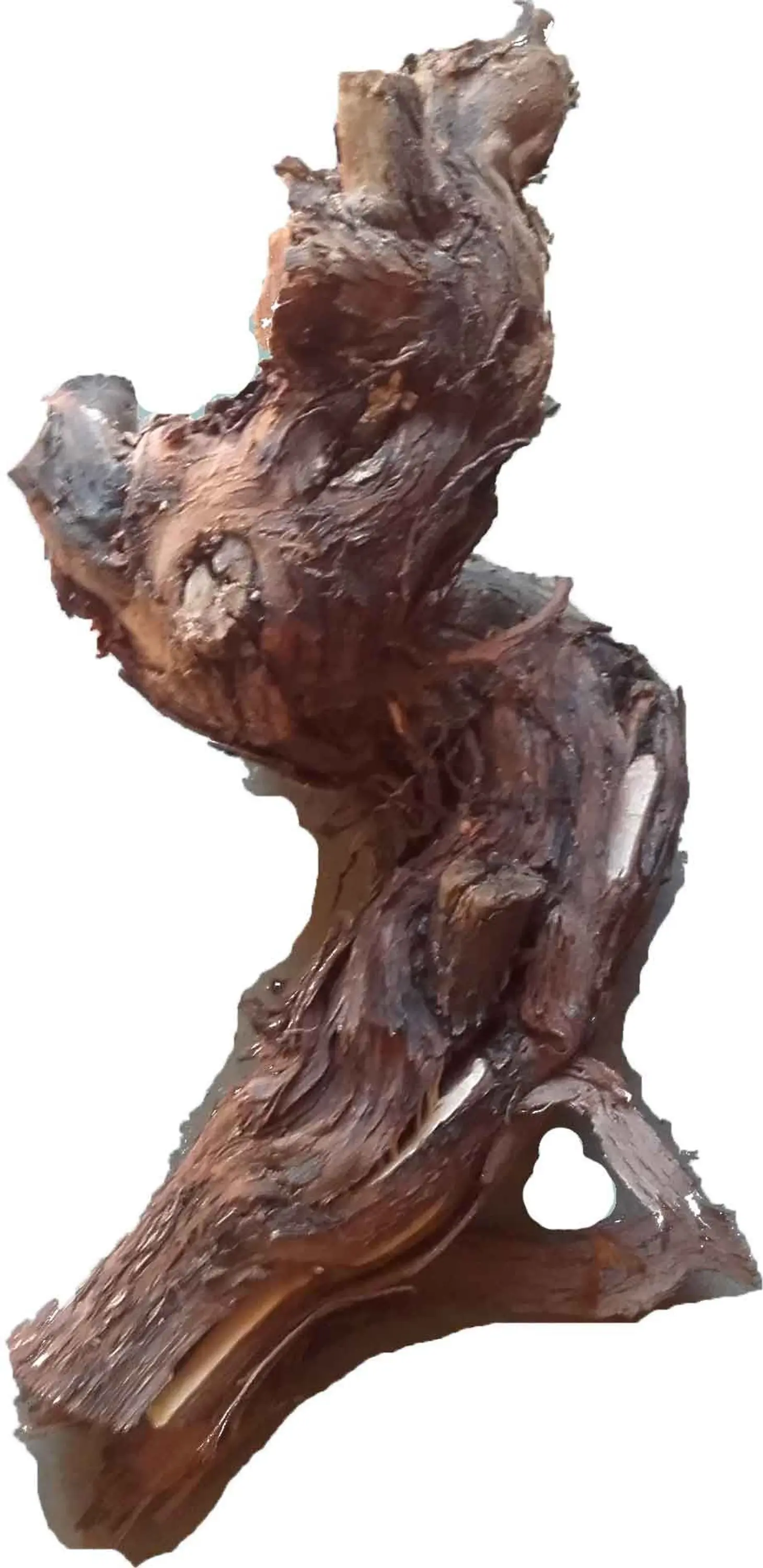 1 Rebstock Pfälzer 1 Rebstock Pfälzer